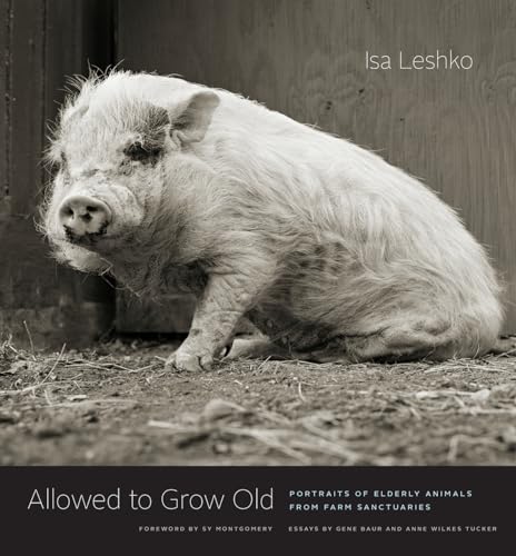 Beispielbild fr Allowed to Grow Old: Portraits of Elderly Animals from Farm Sanctuaries zum Verkauf von Irish Booksellers