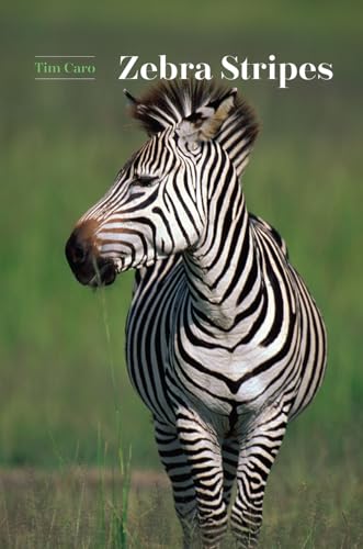 Zebra Stripes - Caro, Tim