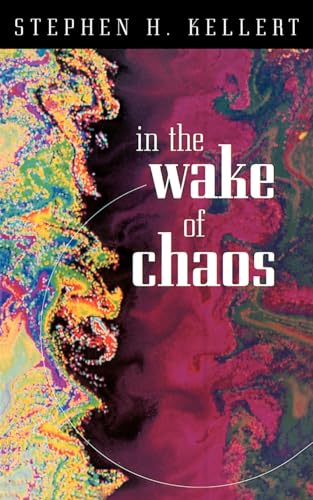 Beispielbild fr In the Wake of Chaos: Unpredictable Order in Dynamical Systems (Science and Its Conceptual Foundations series) zum Verkauf von Wonder Book