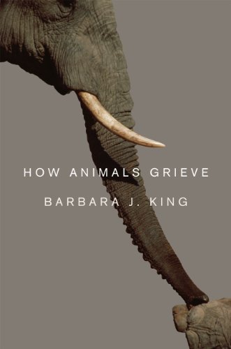 Beispielbild fr How Animals Grieve zum Verkauf von ThriftBooks-Atlanta