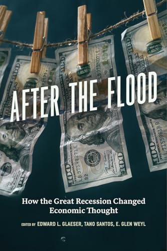 Stock image for After the Flood: How the Great Recession Changed Economic Thought for sale by Books From California