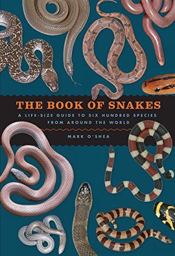 Beispielbild fr The Book of Snakes: A Life-Size Guide to Six Hundred Species from around the World zum Verkauf von BooksRun