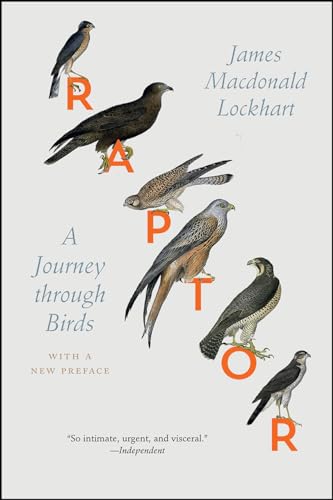 9780226470580: Raptor: A Journey Through Birds [Lingua Inglese]