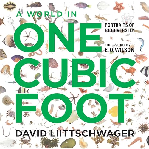 Stock image for A World in One Cubic Foot: Portraits of Biodiversity for sale by HPB-Red