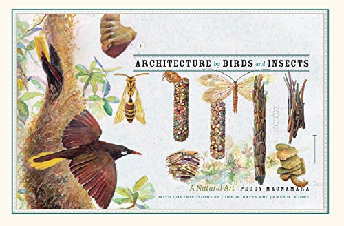 Beispielbild fr Architecture by Birds and Insects : A Natural Art zum Verkauf von Better World Books