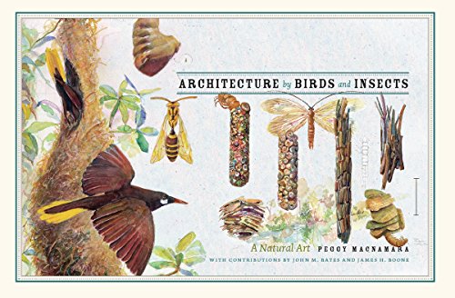 9780226500973: Architecture by Birds and Insects: A Natural Art