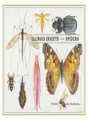 Beispielbild fr Illinois Insects and Spiders zum Verkauf von Better World Books