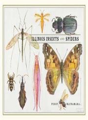 Stock image for Illinois Insects and Spiders for sale by Better World Books