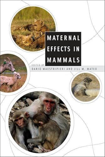 Stock image for Maternal Effects in Mammals for sale by Midtown Scholar Bookstore
