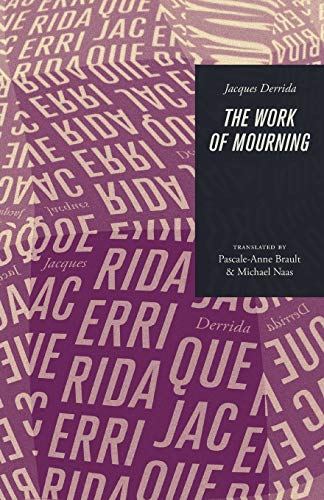 9780226502496: The Work of Mourning