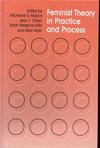 9780226502939: Feminist Theory in Practice and Process