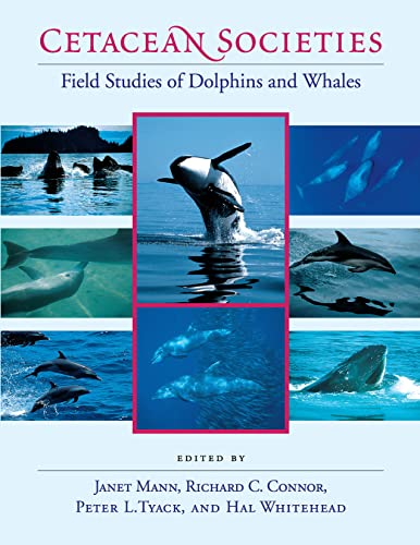 Stock image for Cetacean Societies: Field Studies of Dolphins and Whales for sale by BooksRun