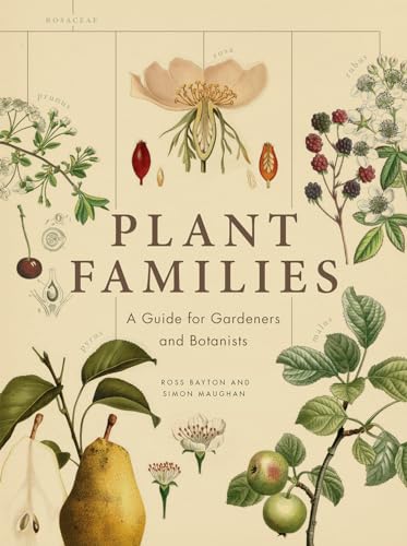 Beispielbild fr Plant Families: A Guide for Gardeners and Botanists zum Verkauf von Half Price Books Inc.