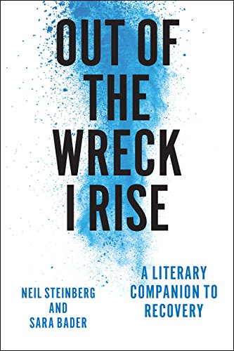 Imagen de archivo de Out of the Wreck I Rise: A Literary Companion to Recovery a la venta por SecondSale