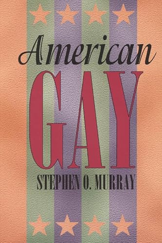 9780226551913: American Gay (Worlds of Desire)