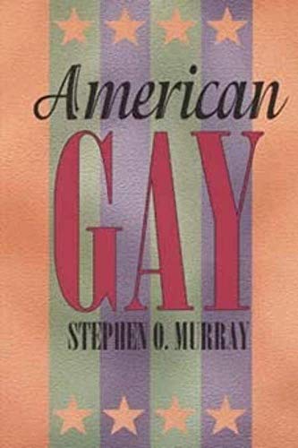 9780226551937: American Gay (Paper) (Worlds of Desire)