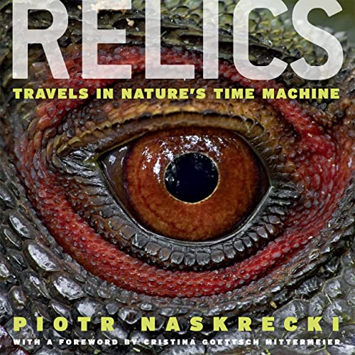 Beispielbild fr Relics: Travels in Nature's Time Machine zum Verkauf von SecondSale