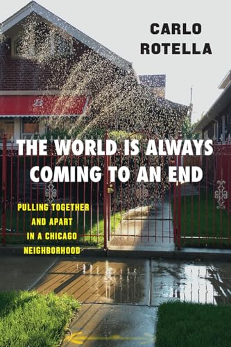 Imagen de archivo de The World Is Always Coming to an End: Pulling Together and Apart in a Chicago Neighborhood (Chicago Visions and Revisions) a la venta por More Than Words