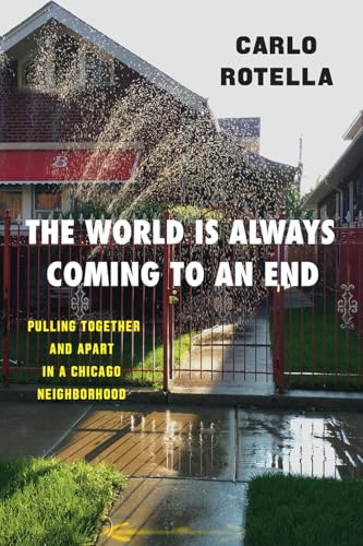 Stock image for The World Is Always Coming to an End: Pulling Together and Apart in a Chicago Neighborhood (Chicago Visions and Revisions) for sale by SecondSale