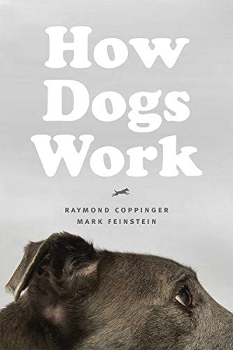 Beispielbild fr How Dogs Work zum Verkauf von BooksRun