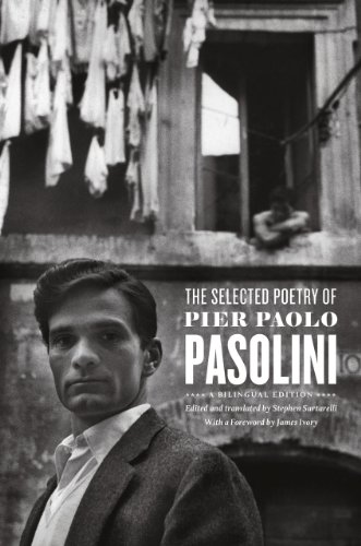 Stock image for The Selected Poetry of Pier Paolo Pasolini: A Bilingual Edition for sale by ThriftBooks-Dallas