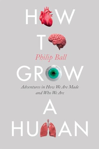 Beispielbild fr How to Grow a Human: Adventures in How We Are Made and Who We Are zum Verkauf von ThriftBooks-Atlanta