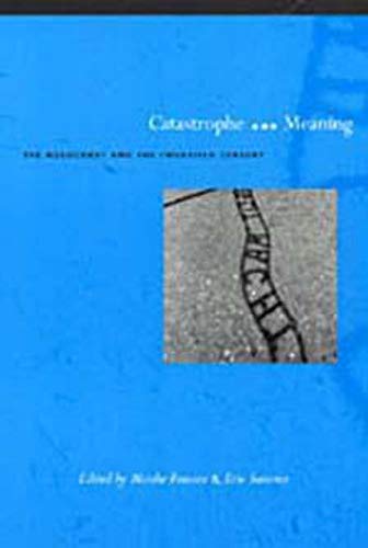 Stock image for Catastrophe and Meaning: The Holocaust and the Twentieth Century for sale by New Legacy Books