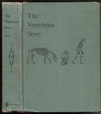 Imagen de archivo de Vertebrate Story a la venta por Better World Books