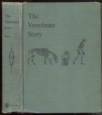 Stock image for Vertebrate Story for sale by Better World Books