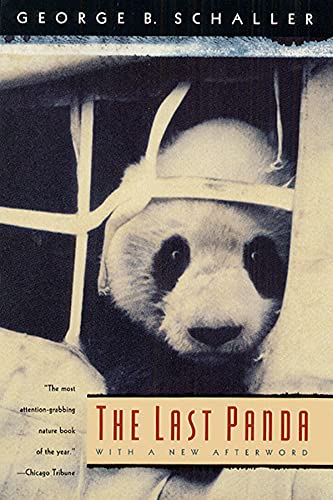Beispielbild fr The Last Panda zum Verkauf von More Than Words