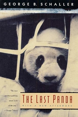 Beispielbild fr The Last Panda zum Verkauf von Better World Books