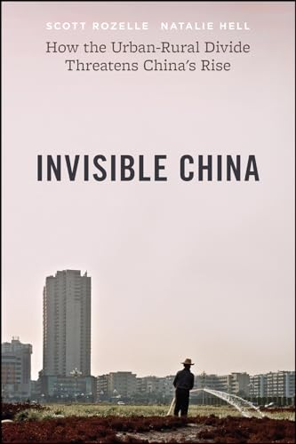 Beispielbild fr Invisible China: How the Urban-Rural Divide Threatens China  s Rise zum Verkauf von BooksRun