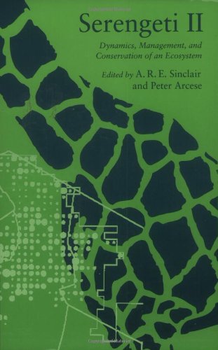 Imagen de archivo de Serengeti II: Dynamics, Management, and Conservation of an Ecosystem a la venta por SecondSale