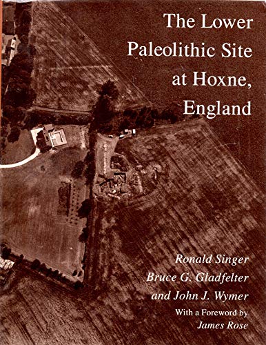Stock image for The Lower Paleolithic Site at Hoxne, England (John D. and Catherine T. MacArthur Foundation Series on Mental Health and Development) for sale by Midtown Scholar Bookstore