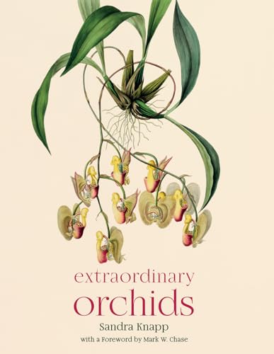Stock image for Extraordinary Orchids for sale by Sunshine State Books