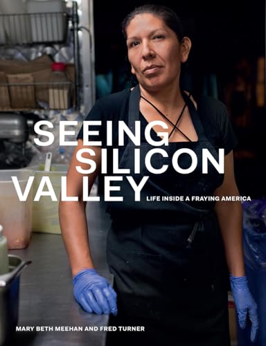 Beispielbild fr Seeing Silicon Valley: Life Inside a Fraying America zum Verkauf von ThriftBooks-Atlanta