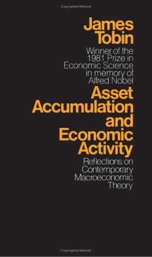 Stock image for Asset Accumulation and Economic Activity : Reflections on Contemporary Macroeconomic Theory for sale by Better World Books
