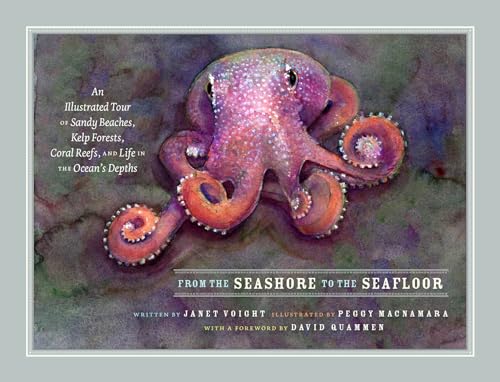 Stock image for From the Seashore to the Seafloor: An Illustrated Tour of Sandy Beaches, Kelp Forests, Coral Reefs, and Life in the Ocean's Depths for sale by HPB-Emerald