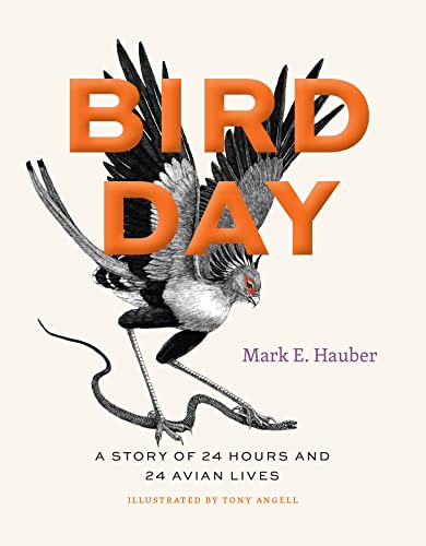 Imagen de archivo de Bird Day: A Story of 24 Hours and 24 Avian Lives (Earth Day) a la venta por WorldofBooks