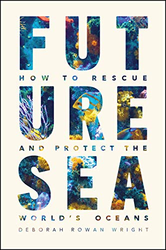 Stock image for Future Sea: How to Rescue and Protect the World  s Oceans for sale by HPB-Ruby