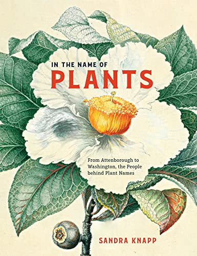 Stock image for In the Name of Plants: From Attenborough to Washington, the People behind Plant Names for sale by Midtown Scholar Bookstore