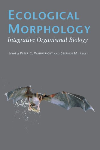 Ecological Morphology : Integrative Organismal Biology.