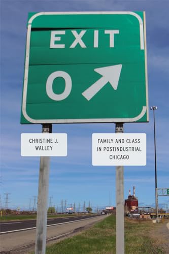 Stock image for Exit Zero: Family and Class in Postindustrial Chicago for sale by SecondSale