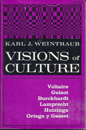 Stock image for Visions of Culture (Phoenix Books) for sale by Harmonium Books