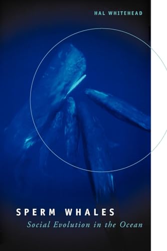 9780226895185: Sperm Whales: Social Evolution in the Ocean