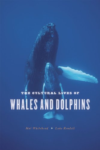 9780226895314: The Cultural Lives of Whales and Dolphins