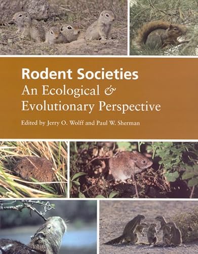 Imagen de archivo de Rodent Societies: An Ecological and Evolutionary Perspective a la venta por Zoom Books Company