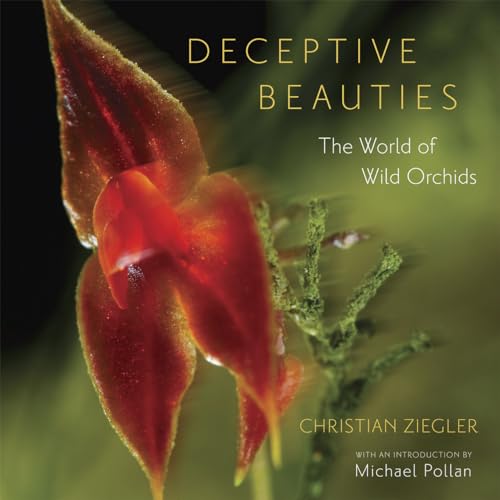 Deceptive Beauties: The World of Wild Orchids