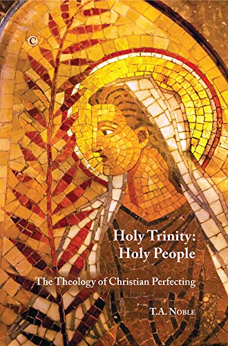 9780227174135: Holy Trinity: Holy People: The Theology of Christian Perfecting (Didsbury Lectures)