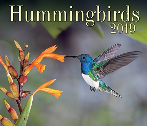 Imagen de archivo de Hummingbirds 2019 a la venta por Orbiting Books